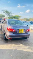 Nissan Bluebird 2008 Kijivu - 2
