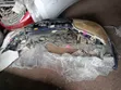 Toyota Corolla Fielder 2002 Nosecut - 2