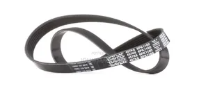 Fan Belt for Nissan Fuga (6PK1160)
