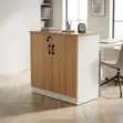 Office Cabinet: Two-Door File Storage Unit - 1