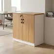 Office Cabinet: Two-Door File Storage Unit - 3