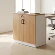 Office Cabinet: Two-Door File Storage Unit - 4