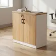 Office Cabinet: Two-Door File Storage Unit - 5