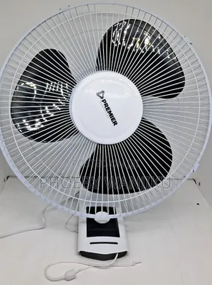 Premier 16 Inch Wall Fan - Mwendo 3