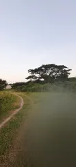 Commercial Plots for Sale, Kikambala, Highway Frontage - 3