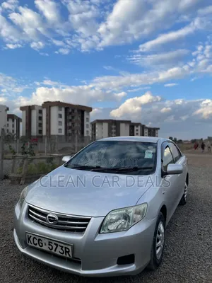 Toyota Axio 2009 Silver