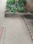 Bedsitter Chumba 1 cha Kupanga, Riara Road, Hurlingham - 4