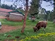 Land for Sale in Kanyaga Mbeere - 3