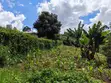 50x100 Plot for Sale - KES 5.5M (Upper Kabete/Fortsmith) - 2