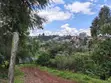 50x100 Plot for Sale - KES 5.5M (Upper Kabete/Fortsmith) - 4