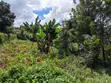 50x100 Plot for Sale - KES 5.5M (Upper Kabete/Fortsmith) - 5