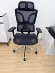Executive Orthopedic Mesh Office Chair - Black - 1