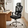 Executive Orthopedic Mesh Office Chair - Black - 5