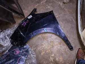 Toyota Noah Fenders (Used)