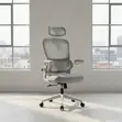 Ergonomic Mesh Office Chair - White & Grey - 2