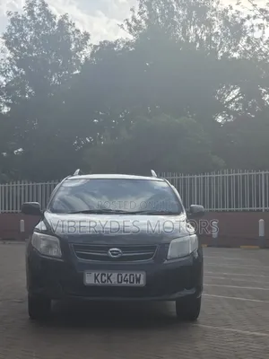 Toyota Corolla Fielder 2009 Black