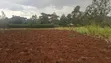 Eka 1 ya Ardhi Inauzwa Kikuyu Gikambura - 4