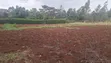 Eka 1 ya Ardhi Inauzwa Kikuyu Gikambura - 5