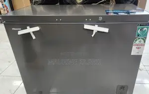 Hisense 289L Chest Freezer FT400NISG