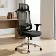 Ergonomic Executive Lumbar Task Chair - 1