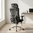 Ergonomic Executive Lumbar Task Chair - 2