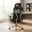 Ergonomic Executive Lumbar Task Chair - 3