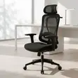 Ergonomic Executive Lumbar Task Chair - 5