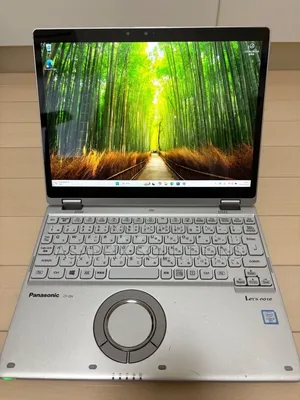 Panasonic Toughbook CF-19 Laptop (8GB RAM, 256GB SSD)
