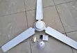 Premier 56-Inch Dari Fan - 2