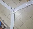 Ailyons 56-Inch Dari Fan - 2