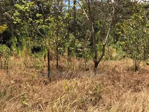 1/2 Acre Land for Sale, 100m from Highway