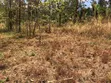 Eneo la 1/2 Eka Linauzwa, 100m kutoka Barabara Kuu - 2