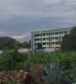 Kitalu cha 50x100 Kinauzwa Nakuru - 1