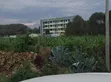 Kitalu cha 50x100 Kinauzwa Nakuru - 2