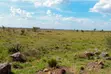 20 Acres Land for Sale in Juja - 2