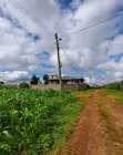 Anmer Estate Plots for Sale, Kiambu - 2