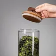 4pcs Airtight Glass Jars with Wooden Lids - 2