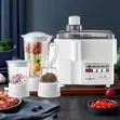 RAF Blender, Juicer, Grinder, Mchinjo wa Nyama 4-in-1 - 3