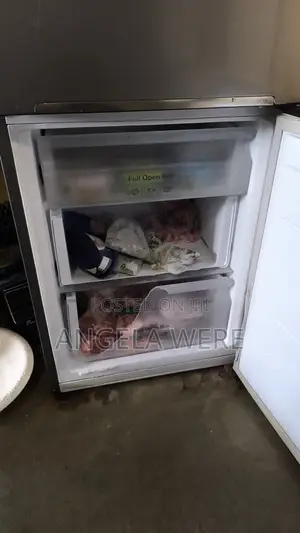 Samsung Fridge with Bottom Freezer