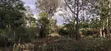 Prime 1/2 Acre Residential Land in Karen - 2