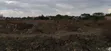 Prime 1/2 Acre Residential Land in Karen, Nairobi - 5