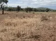 5 Acres Agricultural & Commercial Land for Sale in Loitoktok - 1