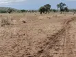 5 Acres Agricultural & Commercial Land for Sale in Loitoktok - 2