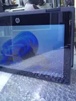Laptop HP Pro x360 Fortis 11 G9 - 4