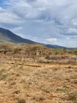 Ekari 2 za Ardhi Zinauzwa Ngong-Kimuka (Olooisho Obor) - 1