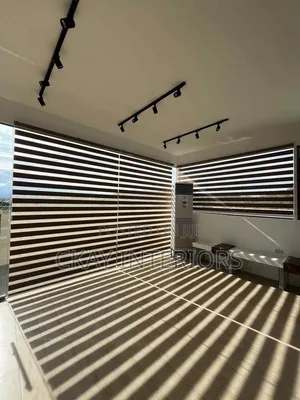 Office Window Blinds/Curtains for Light Control