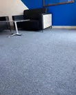 Premium USA Wall-to-Wall Carpet - 1