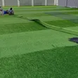 50mm Artificial Grass Carpet - 1