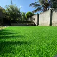50mm Artificial Grass Carpet - 2