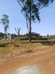 Viwanja Vitatu vya 1/8 Ruiru Makazi - 2